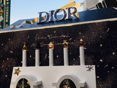 -Dior迪奥(上海世茂广场店)