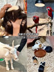-Zoolung Zoolung动物主题公园(海信广场店)