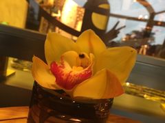 -童趣廊·儿童波波池·海洋球(长隆横琴湾酒店)