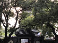 -万松老人塔