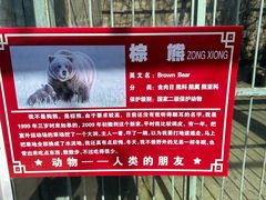 -水绘园