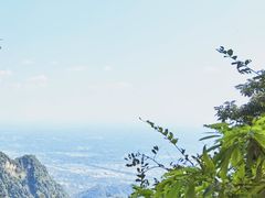 -青城山