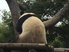 -宁波野生动物园