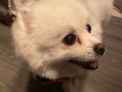 -伽利略剧本探案馆(国贸店)