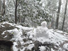 -天目山大树王景区