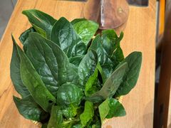 -巴奴毛肚火锅(龙湖锦艺城店)