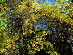 -婕妮璐超市 Jenny Lou’s Shop(三里屯店)