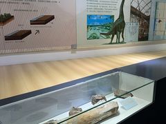 -中国第四纪冰川遗迹陈列馆