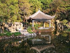 -叶家花园