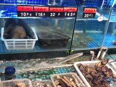 水产区-捞围鲜·港式打边炉(海阳路店)