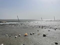 -启东黄金海滩景区