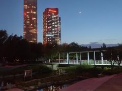 -大望京公园