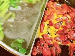 -盡膳口福跷脚牛肉火锅(合生汇购物中心店)