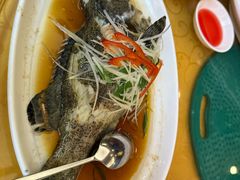 -聚龙酒家(富豪花园店)