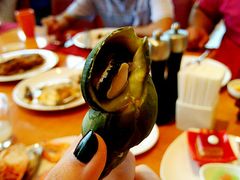 -视界美食自助餐厅·石家庄希尔顿酒店