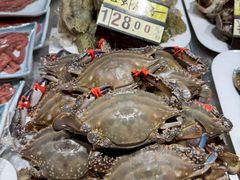 -渔娘渔家丹东海鲜(东直门店)