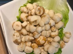 -百年果林椰子鸡(中洲店)