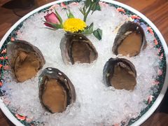 手工冰镇鲍鱼-木棉·醉心粤味(COCO Park店)
