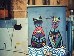 -猫咪博物馆(顶澳仔猫街店)