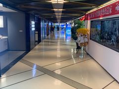-上海月星家居(澳门路店)