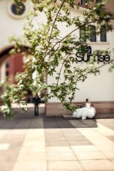 -太古映画婚纱摄影(天河店)