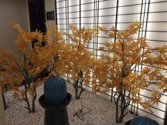 -汤里来温泉