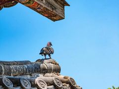 -洛阳白马寺