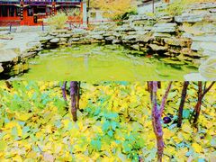 -香山公园