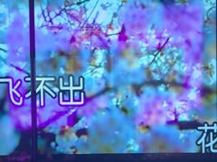 -星聚会KTV X Party(上海真如中海环宇城店)
