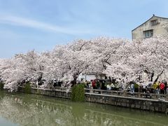 -常熟方塔园