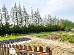 -前小桔亲子创意农场·草莓采摘·露营烧烤