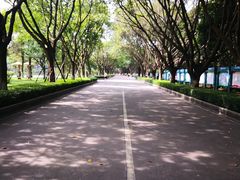 -火炉山森林公园