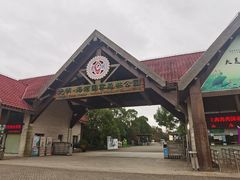 -上海海湾国家森林公园