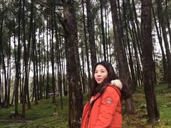 -硗碛藏寨·神木垒景区