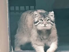 -青藏高原野生动物园