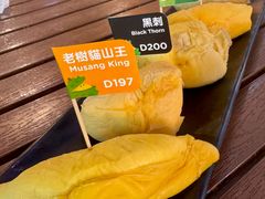 -榴莲BB 四季果园