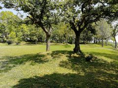 -福建鲤鱼洲酒店