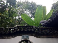 -秋霞圃