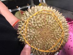 -都念榴莲·城市榴莲