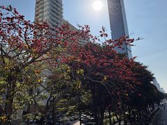 -中航城君尚购物中心