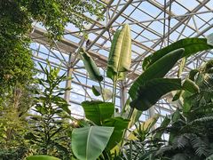 -祥源·阜阳生态乐园