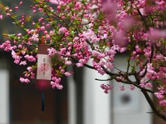 -江宁织造博物馆