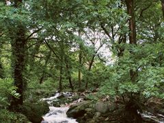 -崂山九水游览区