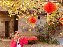-腾冲国萍农家乐
