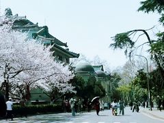-武汉大学-樱园