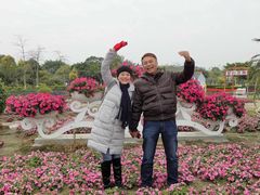 -广东花都香草世界旅游度假区