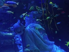 -沈阳海洋探索中心