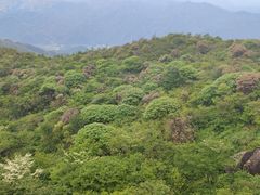 -大围山国家森林公园