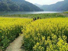 -新安江山水画廊风景区