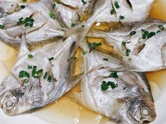 -阿莉餐厅(枣阳路店)